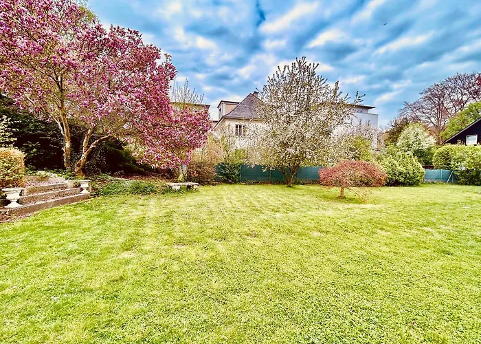 Am Stadtpark * Vöcklabruck